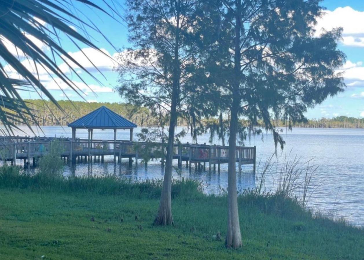 Disney Just 1 And A Quarter Mile Away, Blue Heron 1 Room 2 Bath,Amenities,6 Guests, Walk To Restaurants, No Fees At Check In Orlando Exterior foto